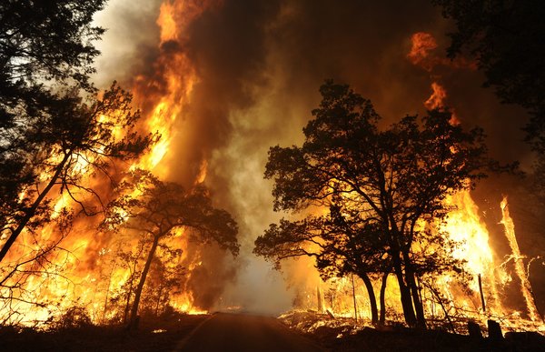Wildfires in Parched Texas Kill 2 and Destroy Homes – Common ...