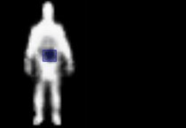 1336505239_body bomb